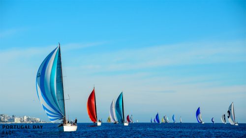 royal-cape-yacht-club-portugal-day- 0034 28.png