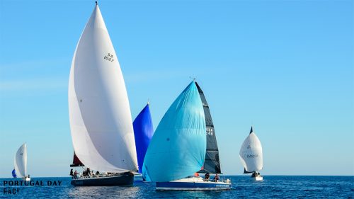 royal-cape-yacht-club-portugal-day- 0037 31.png